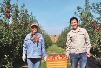 Apples-corrected.jpg