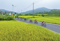 15d150f75db9cd8fb5cb898b5545fda.jpg
